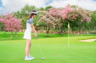 Best Golf Shop in Osaka | Where to Stay and Play Golf in Osaka, SEO Accom (Global)