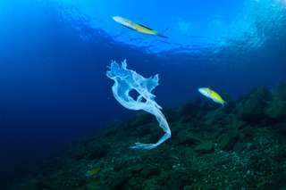 Visiting Aqua Planet Clark: Slides, Pools & Tips for Families, Global Traveller