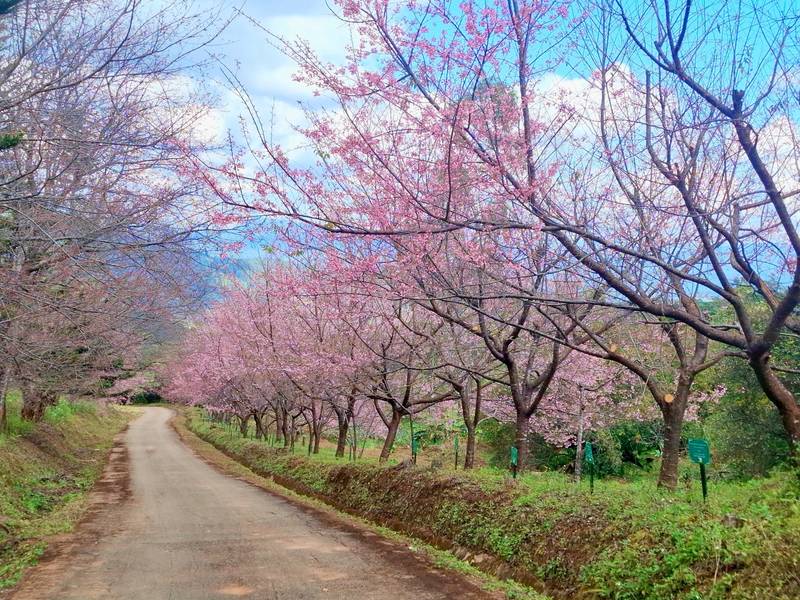 ศูนย์วิจัยเกษตรหลวงขุนวาง เชียงใหม่