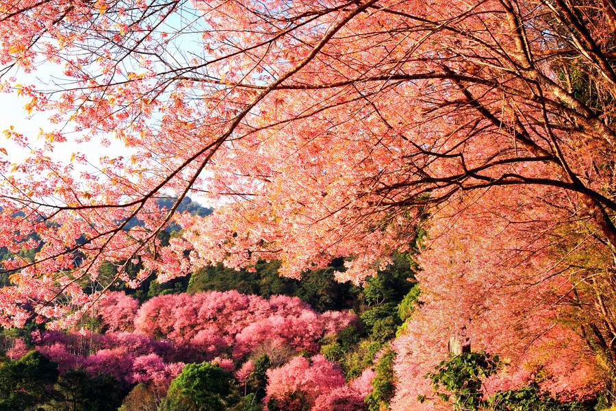 ขุนแม่ยะ แม่ฮ่องสอน