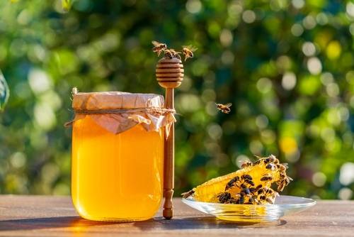 น้ำผึ้งป่า