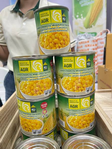 ข้าวโพดหวาน และนมข้าวโพดโคราช