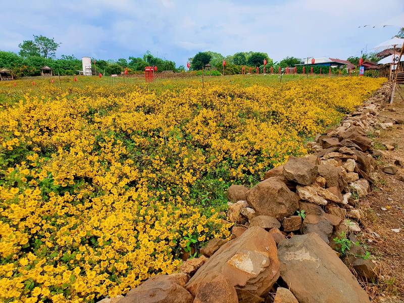 Lover Flower Farm-เลิฟเวอร์ฟลาวเวอร์ฟาร์ม