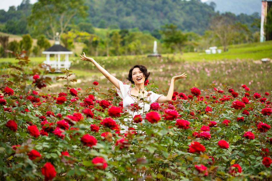 Rosepark Wangnamkeaw โรสพาร์ค วังน้ำเขียว