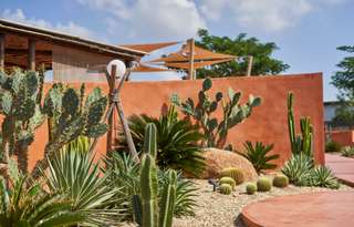 Panduan Utama Etiket & Hal Tabu di Meksiko, 5 min read