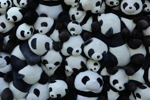 ของฝากแพนด้า (Panda Souvenirs)