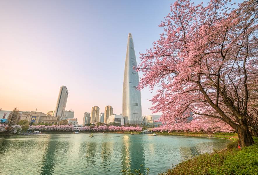 Seoul Pass vs Other Korea Travel Passes