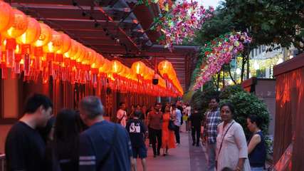 Chinese New Year 2026 in Singapore: Events, Traditions & Things to Do Dinners