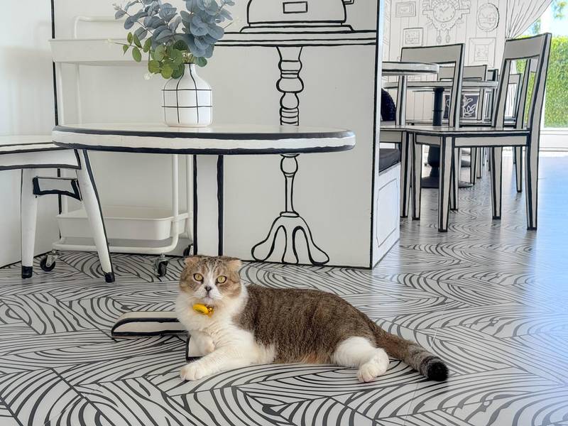 Sea You Again Cafe & Eatery