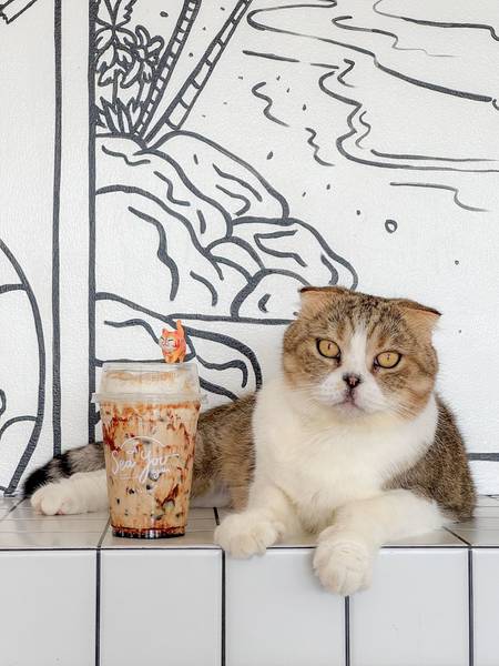 Sea You Again Cafe & Eatery