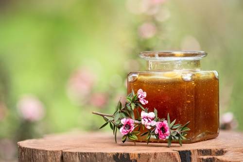 น้ำผึ้งมานูก้า (Manuka Honey)
