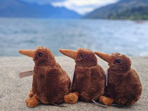 ตุ๊กตานกกีวี่ (Kiwi Plush Toy)