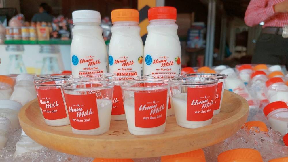 นมสดฟาร์มโชคชัย ของฝากขึ้นชื่อปากช่อง