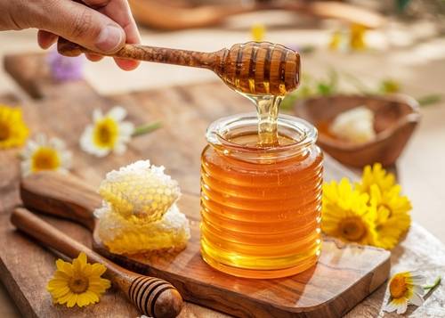 น้ำผึ้งป่าแท้จากเขาใหญ่