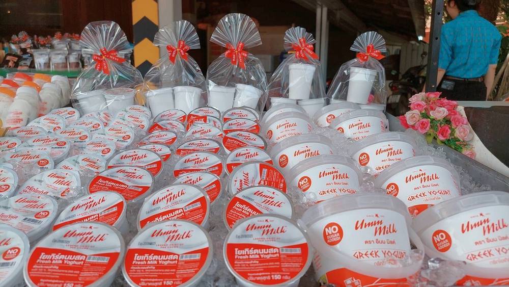 ชีสและโยเกิร์ตโฮมเมด