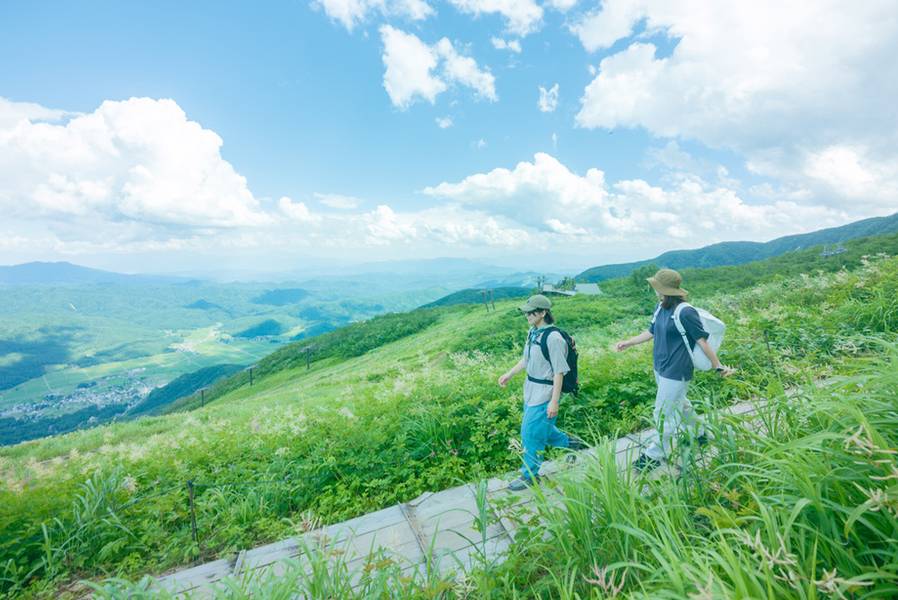 Alps Daira (บริเวณสถานีกระเช้า Alps Daira Station – Hakuba Goryu)