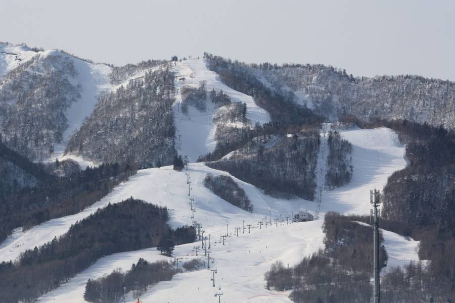 Furano Ski Resort – ฮอกไกโด