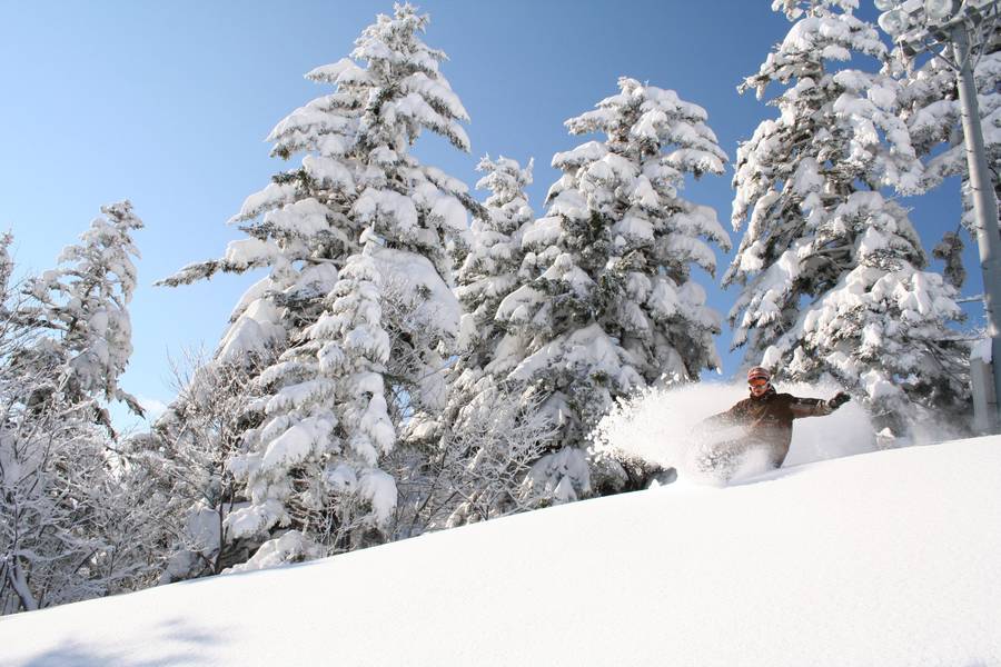 Furano Ski Resort – ฮอกไกโด