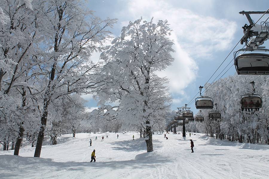 Nozawa Onsen Ski Resort – นากาโนะ