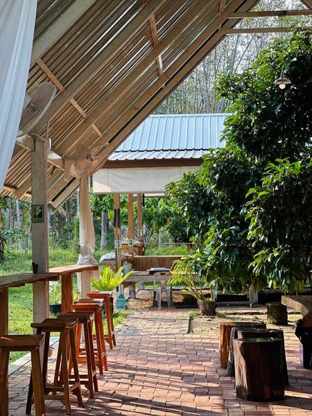 สวนลุงต้อย Littlecat