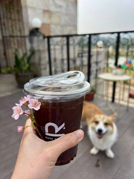 ร้านกาแฟ Ricco Slowbar เขาค้อ