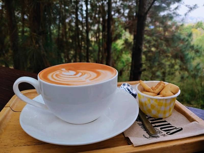 cedar ป่าสน cafe at เขาค้อ