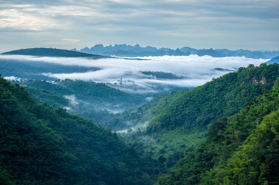 น้ำหนาว