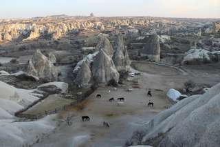 Panduan Utama Etiket & Hal Tabu di Armenia, Mas Bellboy