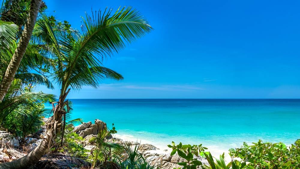 หาดฟรีดอม