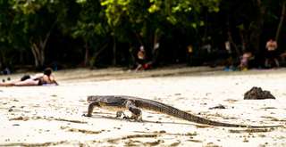 5 Wisata Populer di Haurgeulis Indramayu, Salah Satunya Pulau Biawak!, Xperience Team