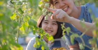 Mau Belajar Berkebun? Ikuti 6 Aktivitas Seru Ini di Hortimart!, Xperience Team