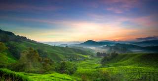 Punya Alam dan Budaya yang Kaya, Ini Rekomendasi Wisata di Nagaland India, Xperience Team