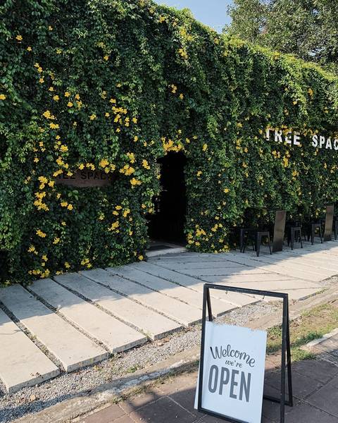  Tree Space Cafe ทรีสเปช คาเฟ่
