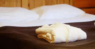 Liburan Adem Tidak Harus Mahal: Penginapan 100 Ribu di Malino yang Bikin Betah, Mas Bellboy