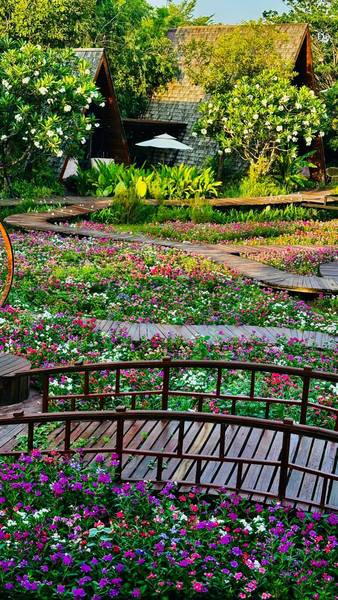  สวนปลายตะวัน - Plaitawan Garden