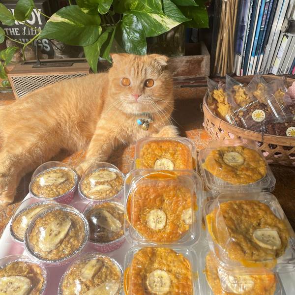 108กาแฟบ้านดิน