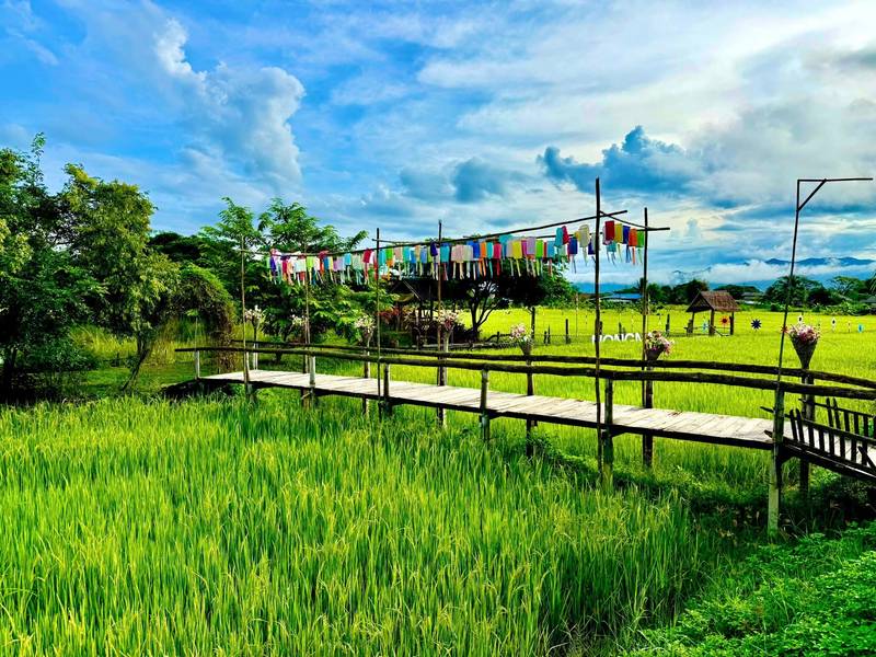  หนองนาคาเฟ่-Nongna Cafe’