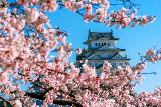 Best Time to See Cherry Blossoms in Japan 2026: Tokyo, Kyoto, Osaka & More
, SEO Accom (Global)