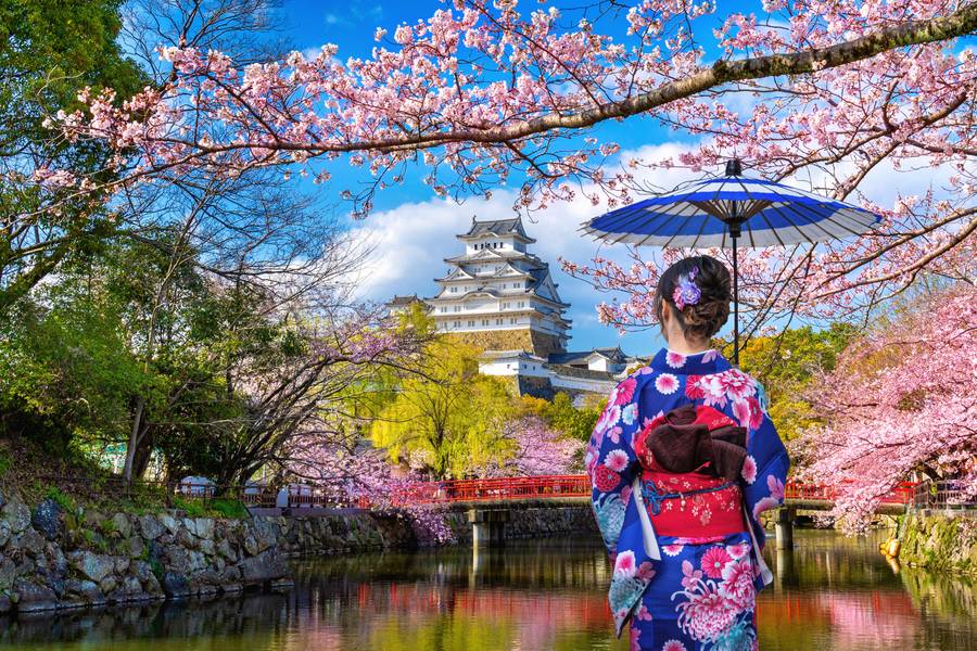 Top Cherry Blossom Festivals in Japan