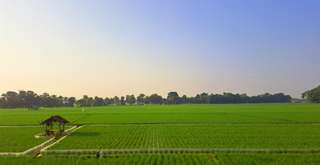 Lembur Pakuan Subang: Desa Wisata Baru yang Viral dan Estetik, Xperience Team