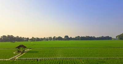 Lembur Pakuan Subang: Desa Wisata Baru yang Viral dan Estetik, Xperience Team