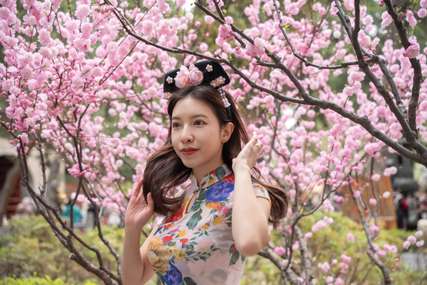 China Cherry Blossom Season 2026: Best Viewing Cities, Festivals and Itineraries