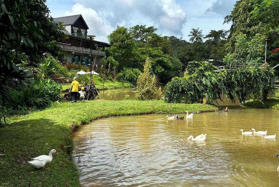 บ้านสวนก๋ง คาเฟ่