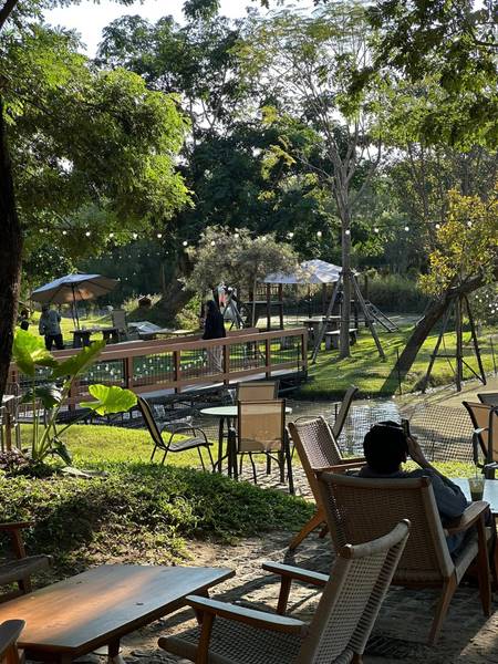 YOKO Matcha ชาเขียวมัทฉะนำเข้าญี่ปุ่น 100%