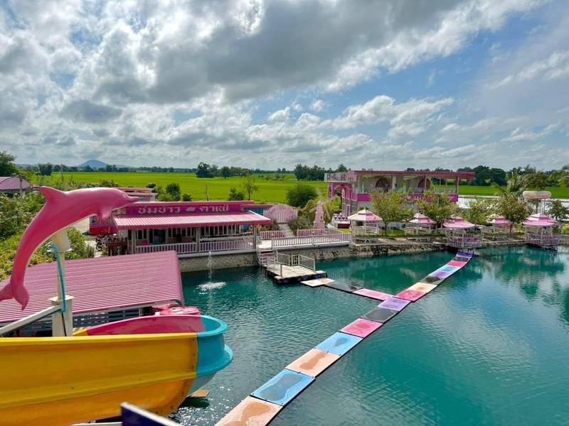 ชมข้าวคาเฟ่