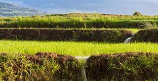 Noyo Gimbal View: Destinasi Wisata Viral dan Edukatif di Blora, Xperience Team