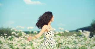 Taman Edelweis Bali, Destinasi Wisata Bunga Abadi yang Instagramable, Xperience Team