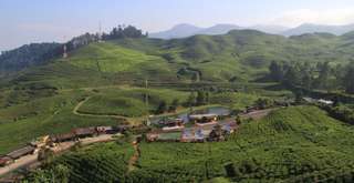 Tak Perlu Menguras Kantong, Ini Rekomendasi Villa Murah di Puncak Kapasitas 25 Orang!, Mas Bellboy