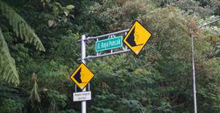 Daftar Villa Puncak Kapasitas 100 Orang untuk Gathering, Retreat, dan Acara Rombongan, Mas Bellboy