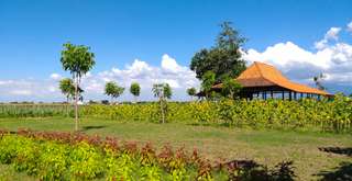 Desa Wisata Jambu Kediri: Menyusuri Harmoni Alam, Budaya, dan Kehangatan Desa, Mas Bellboy